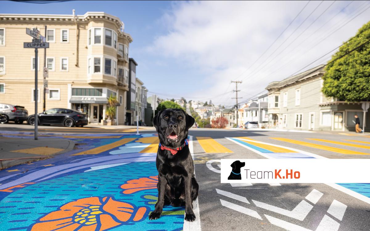 Mr. Radu sitting at the brightly painted Sanchez and Clipper intersection in Noe Valley.