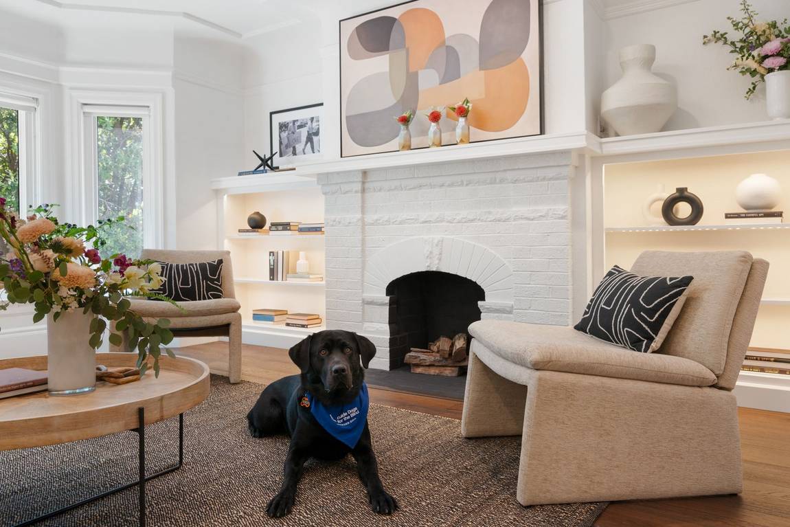 Living room with dog at 758 Monterey Boulevard